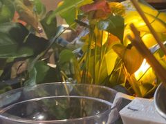 -木屋烧烤(白石洲店)