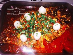 -鱼酷活鱼烤鱼(沈阳大悦城店)