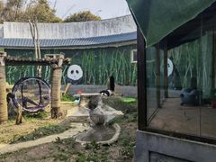 -南昌动物园