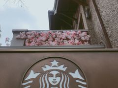 -星巴克臻选(思南公馆店)