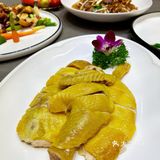 我能说来和宴吃饭特别钟情的是小熊奶茶吗？