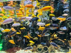 -太平洋海底世界