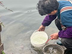 -东梓关景区村庄