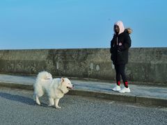 -南汇嘴观海公园