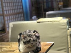 -小时光咖啡馆(开森度假森林店)
