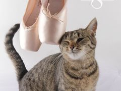 -上海路易十四芭蕾良品舞蹈用品店(美丽华商务中心店)