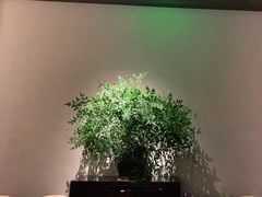 -山里亲戚(淞虹路店)