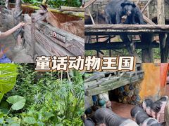 -长鹿旅游休博园
