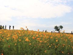 -富田农场