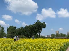 -长白岛森林公园