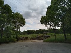 -嘉北郊野公园