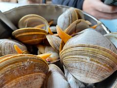 一桶黄蚬-渔娘渔家丹东海鲜(东直门店)