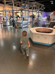 -北京科学中心儿童乐园