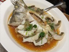 葱油鲈鱼-新白鹿餐厅(龙游路总店·杭帮菜名店)