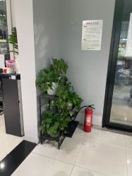 -LEILEI NAIL蕾蕾美甲美睫