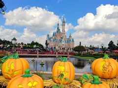 -上海迪士尼度假区