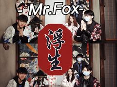 -Mr.Fox狐狸先生超级密室(南山店)