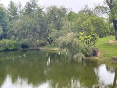 -中旅阿那亚九龙湖·公主酒店