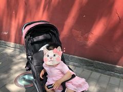 -北京国子监胡同