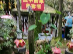 -土砂锅生态山庄·非遗砂锅雅鱼