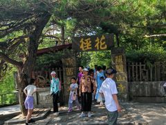 -庐山风景区花径公园