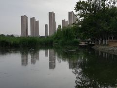 -前关湿地公园