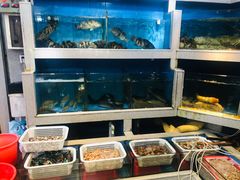 水产区-东江海鲜大排档·潮汕菜·砂锅粥