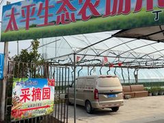 -太平生态农场采摘园