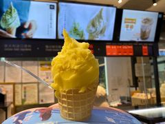 -野人先生现做冰淇淋(西安赛格店)