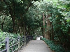 -广州市白云山风景名胜区