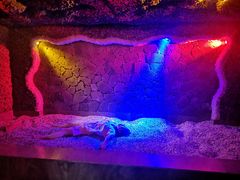 -碧中海汤泉汗蒸酒店