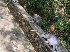 -乌鲁瓦图寺