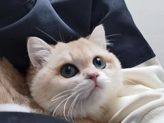 -关爱动物医院·心脏·中兽医·异宠(金牛路分院)