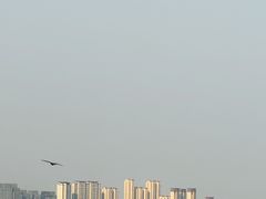 -厦门五通客运码头