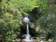 -燕子河大峡谷天坑仙境