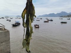 -小皓村