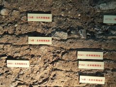 -南越王博物院(王宫展区)