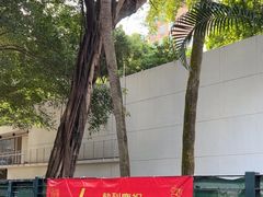 -九龙公园