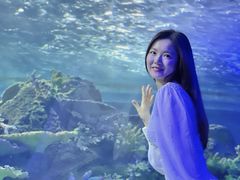 -江和美海洋公园