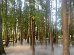 -东湖落雁景区
