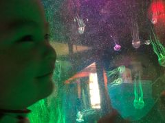 -太平洋海底世界