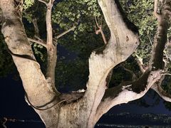 -杭州湖滨银泰in77