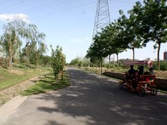 -永定河休闲森林公园