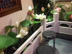 -芦月轩羊蝎子(劲松店)