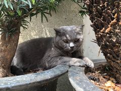 -衣裳街历史文化街区