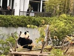 -南宁市动物园