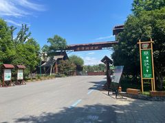 -泗洪洪泽湖湿地景区