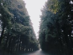 -山王坪喀斯特国家生态公园