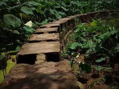 -重庆彩云湖湿地公园