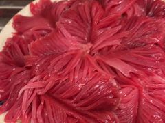 -历蜀记·家宴老火锅(总店)